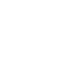 Rimini Street